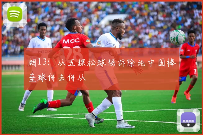 阙13：从五棵松球场拆除论中国棒垒球何去何从