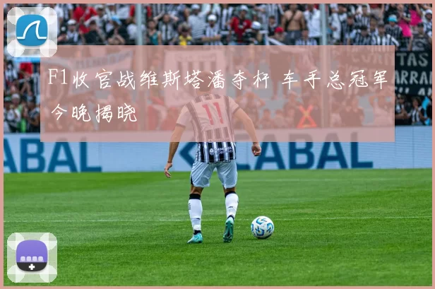 F1收官战维斯塔潘夺杆 车手总冠军今晚揭晓