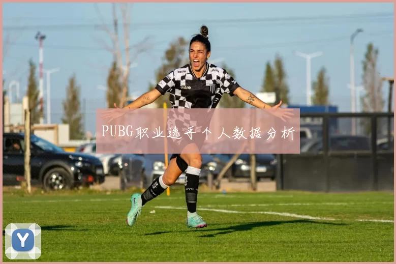 PUBG职业选手个人数据分析