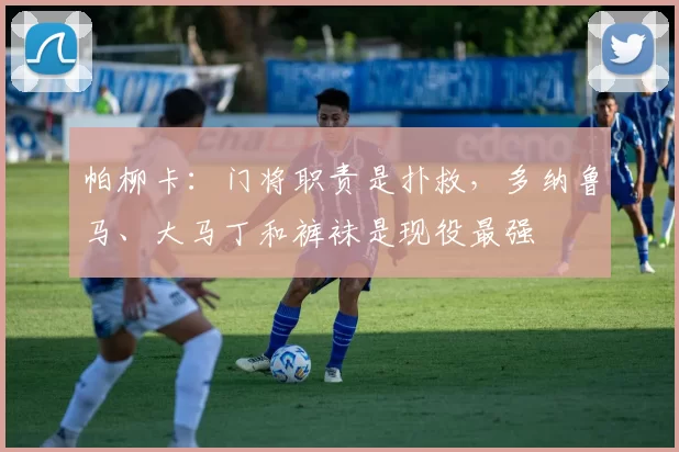 帕柳卡：门将职责是扑救，多纳鲁马、大马丁和裤袜是现役最强