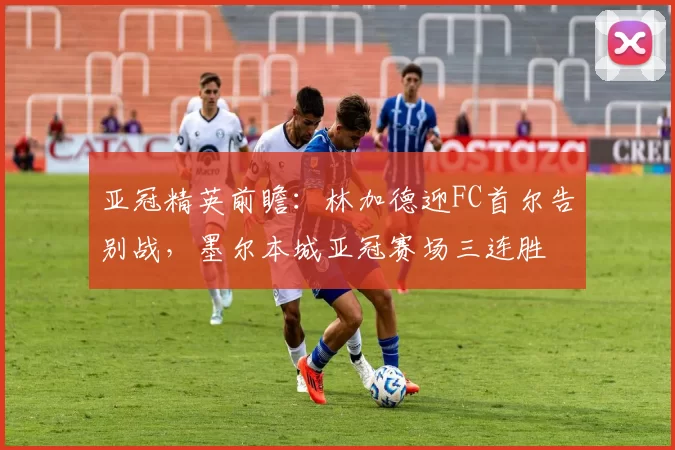 亚冠精英前瞻：林加德迎FC首尔告别战，墨尔本城亚冠赛场三连胜