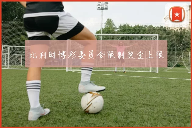 比利时博彩委员会限制奖金上限