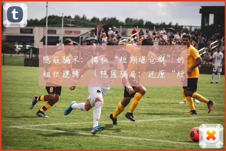 隐蔽骗术：揭秘“短期爆仓群”的组织逻辑。（隐匿骗局：还原“短期爆仓群”的运作机制）